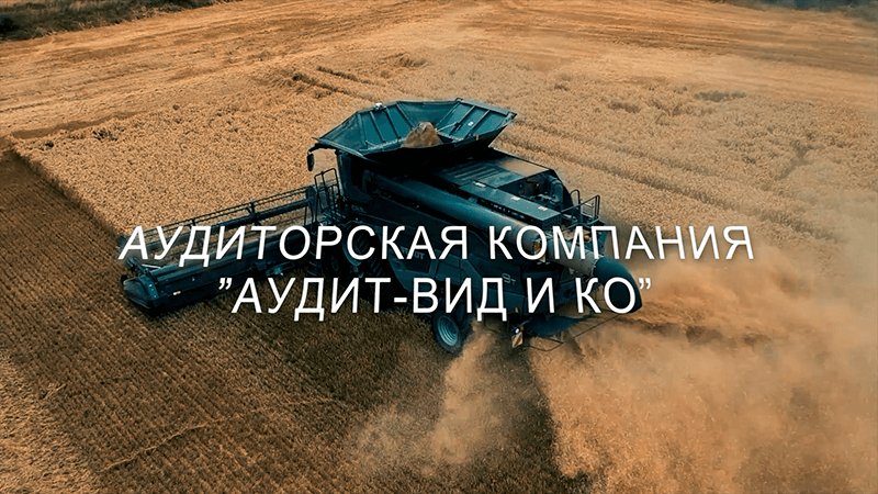 АУДИТ-ВИД